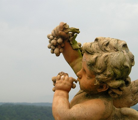 手机版ddos攻击器