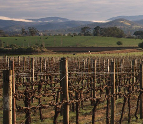 ddos流量攻击购买